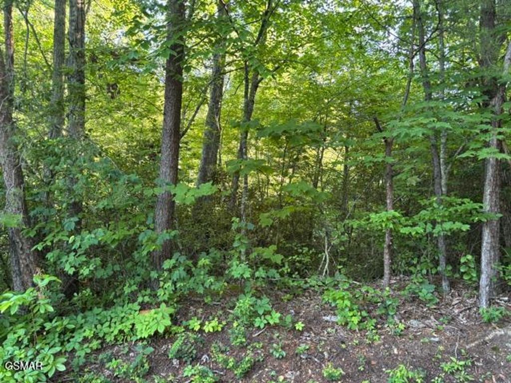 Lot 1461A Ridgehigh Pass, Sevierville, TN 37876