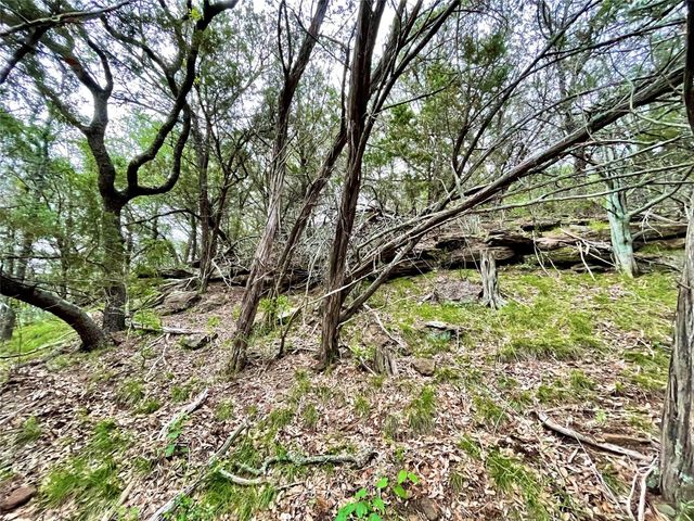 Lot T Sunset Cliff RD, Burnet, TX 78611