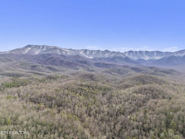 750 Caney Creek Rd, Cosby, TN 37722
