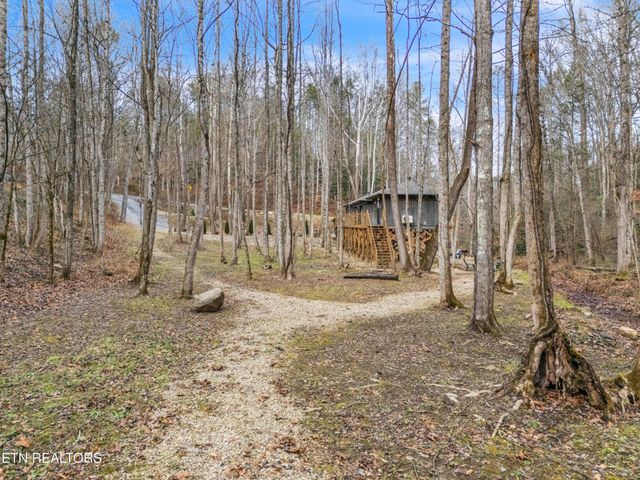 750 Caney Creek Rd, Cosby, TN 37722