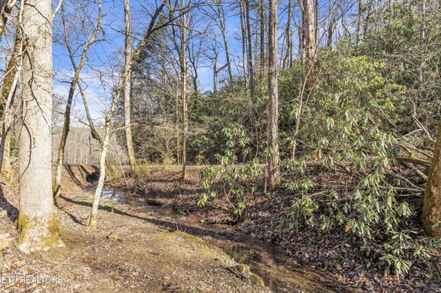 750 Caney Creek Rd, Cosby, TN 37722