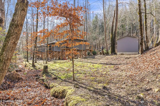 750 Caney Creek Rd, Cosby, TN 37722