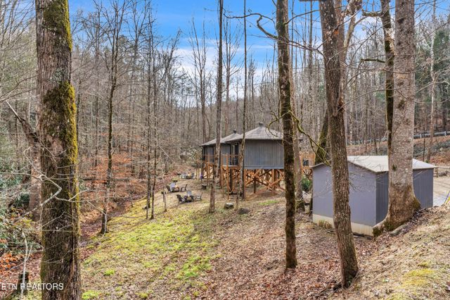750 Caney Creek Rd, Cosby, TN 37722