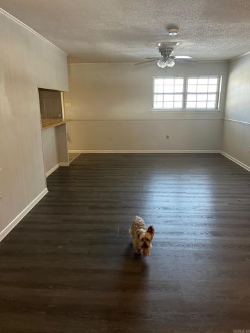 124 Shamrock Dr, Conway, AR 72032