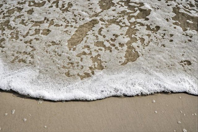 6 Manatee Ct, St Augustine, FL 32080