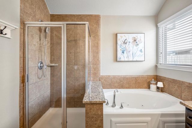 22215 Willow Creek Bridge Lane, Tomball, TX 77375