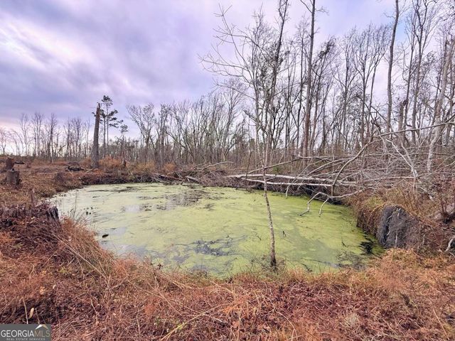 147 Mcloon Road, Hazlehurst, GA 31539