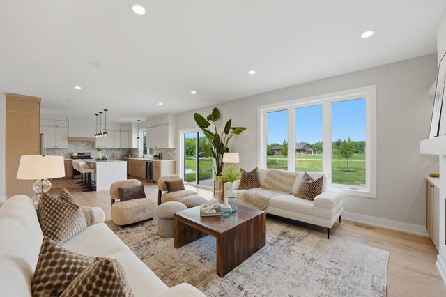 8334 W Chanel Drive, Monee, IL 60449