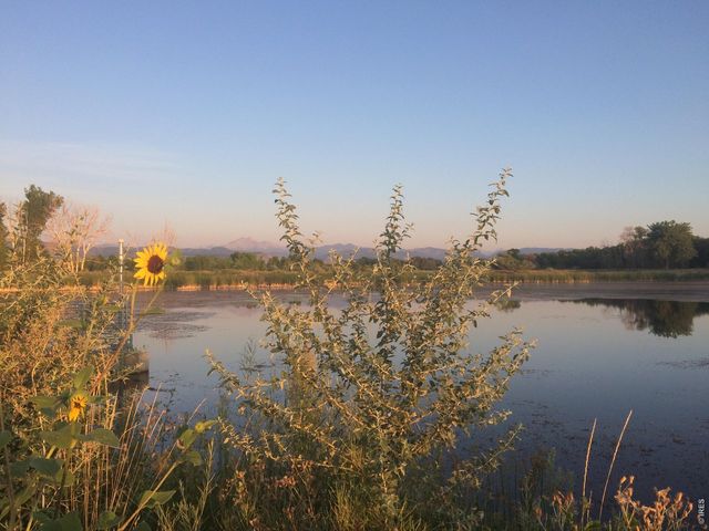 1920 Spruce Ave, Longmont, CO 80501