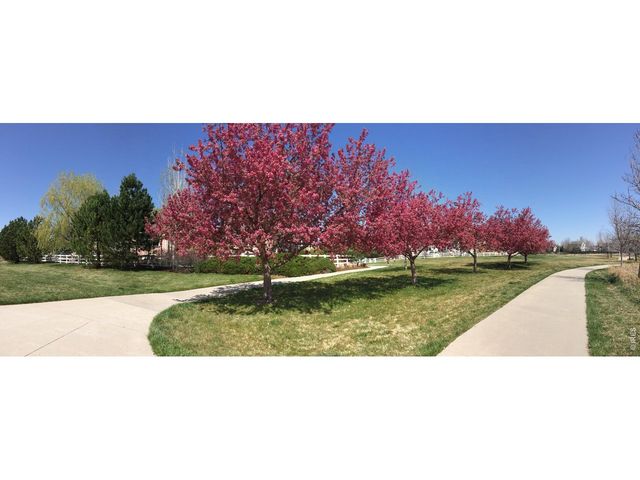 1920 Spruce Ave, Longmont, CO 80501