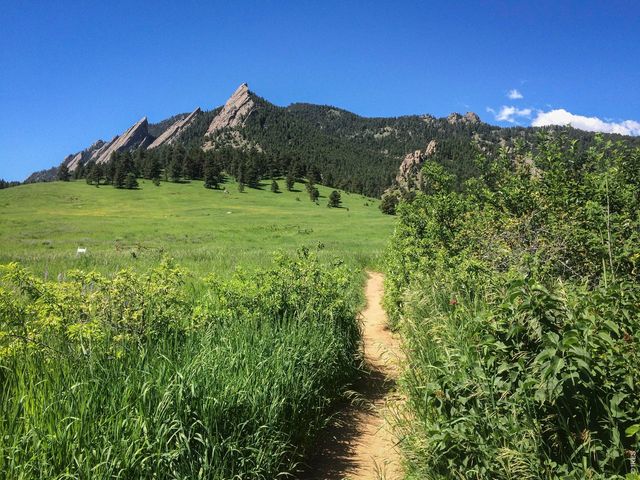 1920 Spruce Ave, Longmont, CO 80501