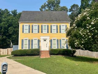 7 Hedgefield Court, Irmo, SC 29036