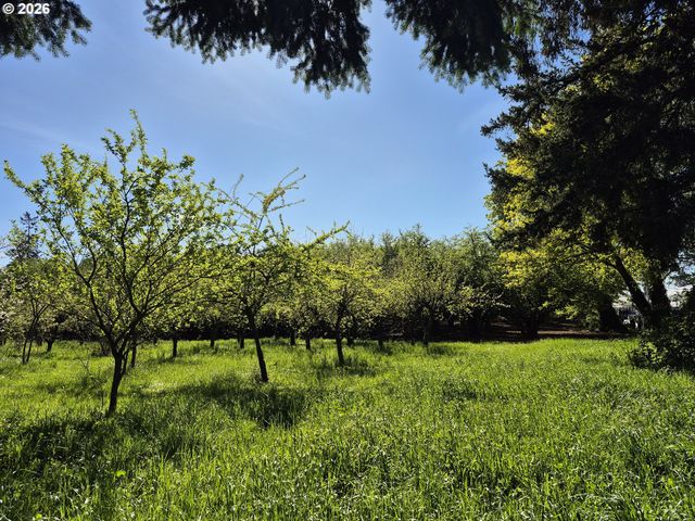 E Beacon, Eugene, OR 97404