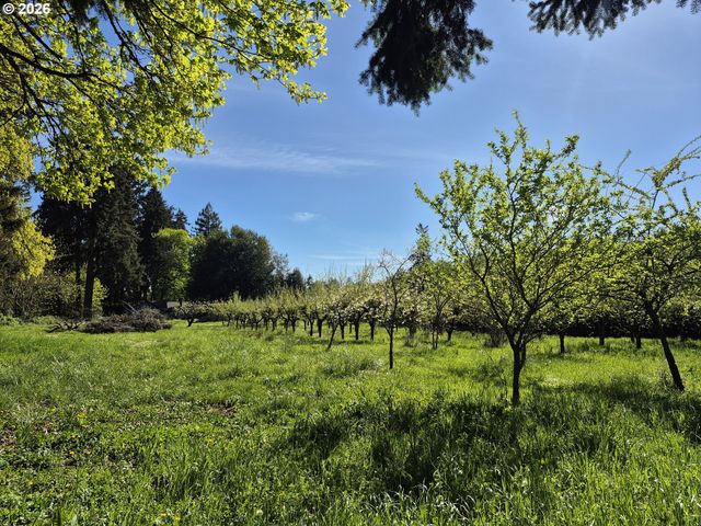 E Beacon, Eugene, OR 97404