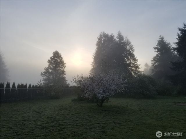 18434 Apricot Street SW, Rochester, WA 98579