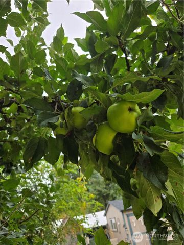 18434 Apricot Street SW, Rochester, WA 98579