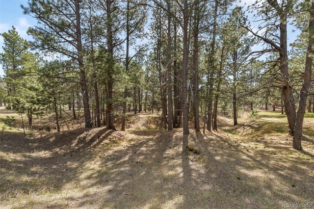 11165 Pine Meadows Road, Colorado Springs, CO 80908