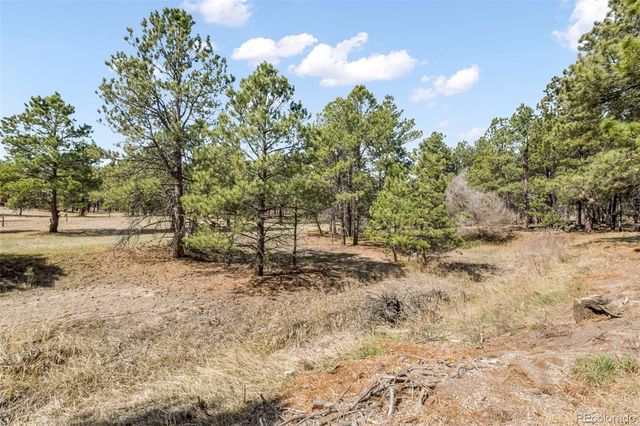 11165 Pine Meadows Road, Colorado Springs, CO 80908