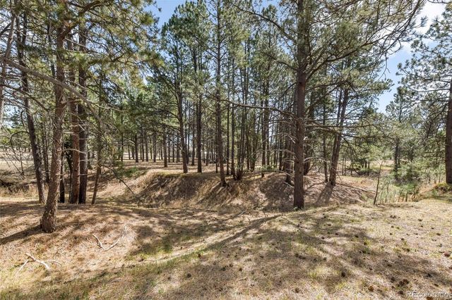 11165 Pine Meadows Road, Colorado Springs, CO 80908