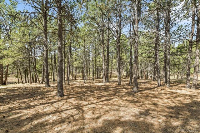 11165 Pine Meadows Road, Colorado Springs, CO 80908