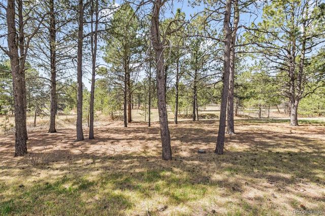 11165 Pine Meadows Road, Colorado Springs, CO 80908