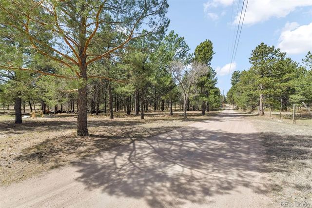 11165 Pine Meadows Road, Colorado Springs, CO 80908