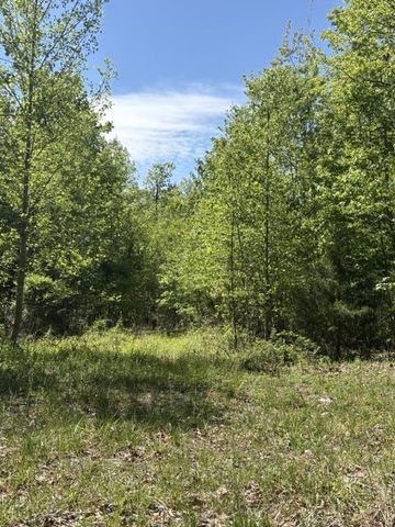 DAVIS LN, Aroda, VA 22709