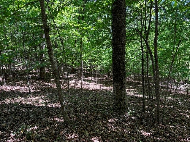 Lot 43 Edgewood Trail, Blairsville, GA 30512