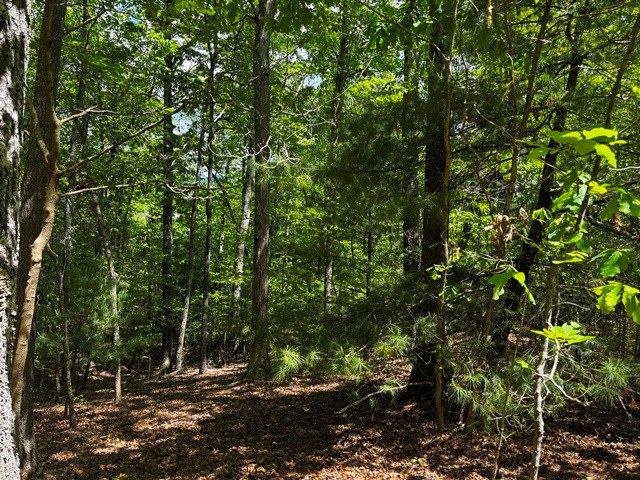 Lot 43 Edgewood Trail, Blairsville, GA 30512