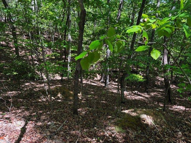 Lot 43 Edgewood Trail, Blairsville, GA 30512