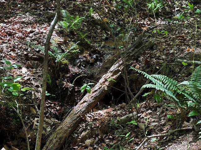 Lot 43 Edgewood Trail, Blairsville, GA 30512