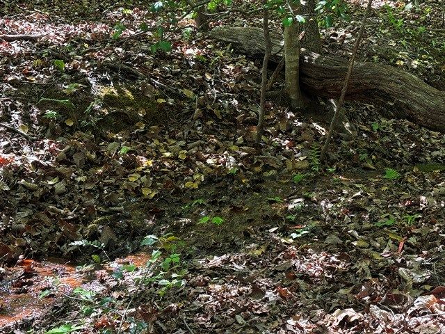 Lot 43 Edgewood Trail, Blairsville, GA 30512