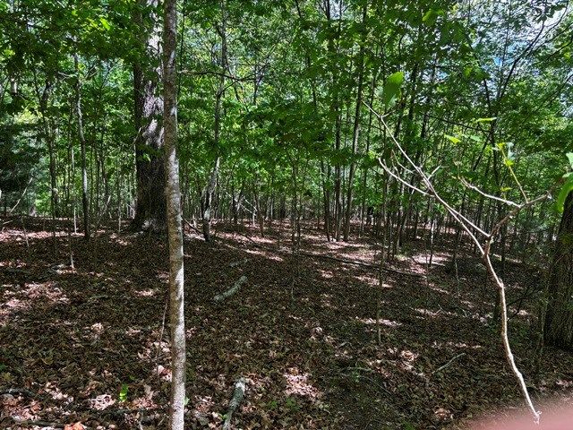 Lot 43 Edgewood Trail, Blairsville, GA 30512