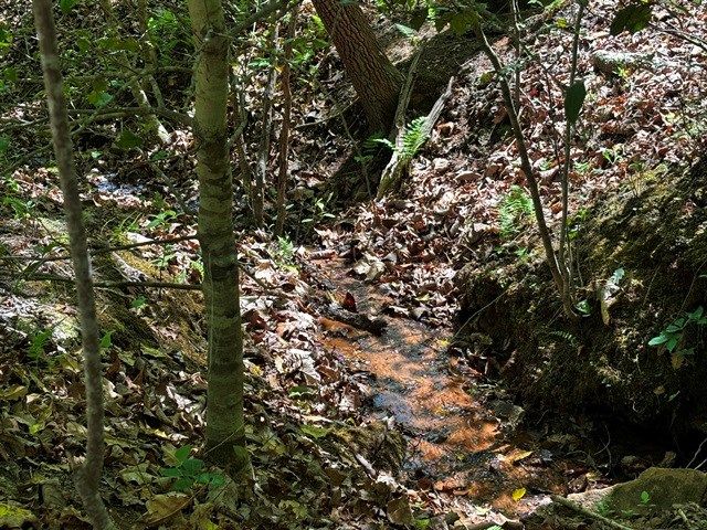 Lot 43 Edgewood Trail, Blairsville, GA 30512