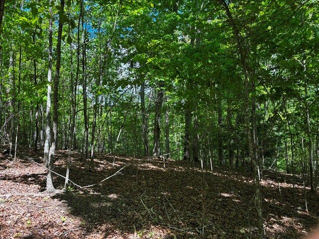 Lot 43 Edgewood Trail, Blairsville, GA 30512