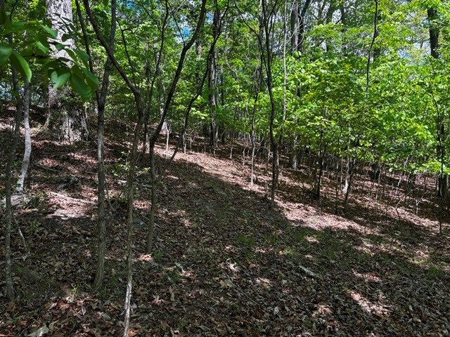 Lot 43 Edgewood Trail, Blairsville, GA 30512