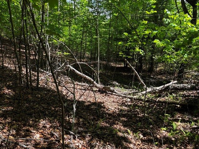 Lot 43 Edgewood Trail, Blairsville, GA 30512
