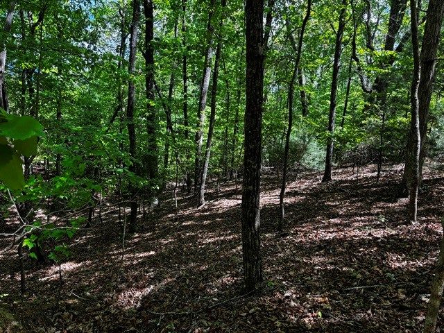 Lot 43 Edgewood Trail, Blairsville, GA 30512