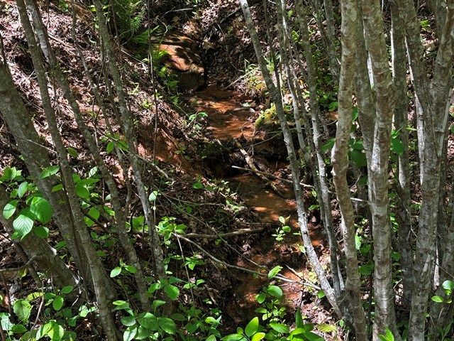 Lot 43 Edgewood Trail, Blairsville, GA 30512