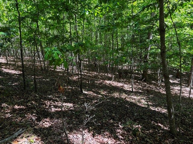 Lot 43 Edgewood Trail, Blairsville, GA 30512