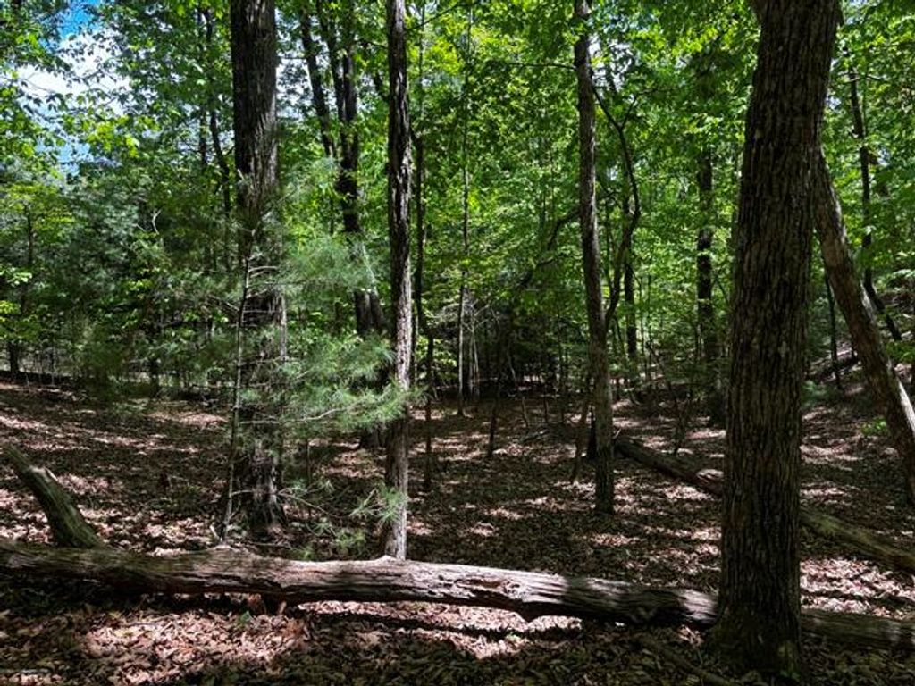 Lot 43 Edgewood Trail, Blairsville, GA 30512