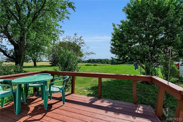 8009 Lewis Road, Colden, NY 14080