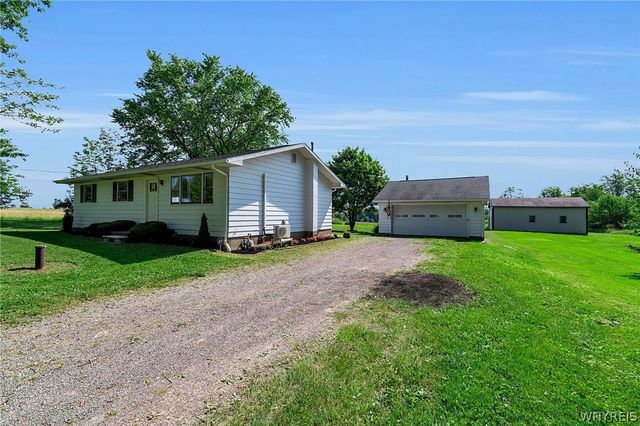 8009 Lewis Road, Colden, NY 14080