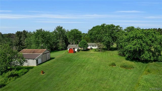 8009 Lewis Road, Colden, NY 14080