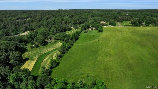 8009 Lewis Road, Colden, NY 14080