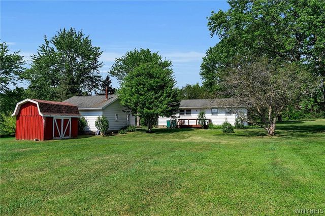 8009 Lewis Road, Colden, NY 14080
