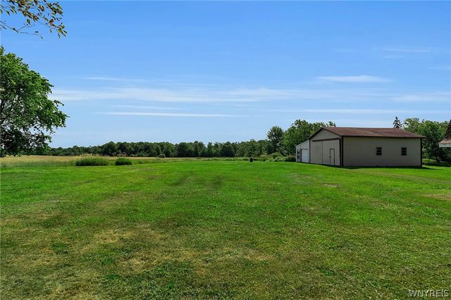 8009 Lewis Road, Colden, NY 14080