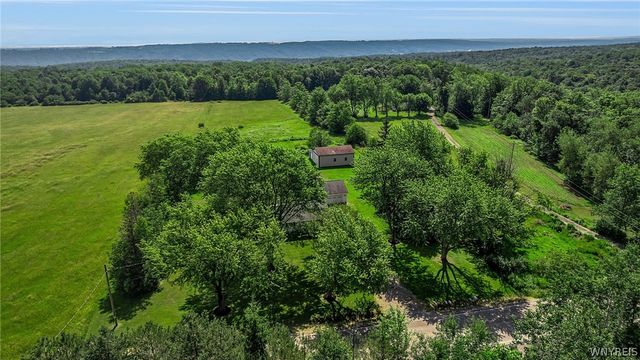 8009 Lewis Road, Colden, NY 14080
