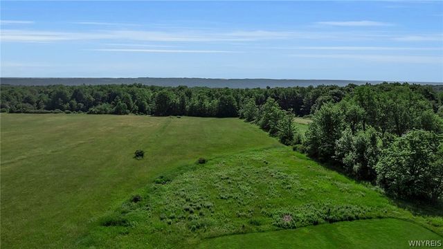 8009 Lewis Road, Colden, NY 14080