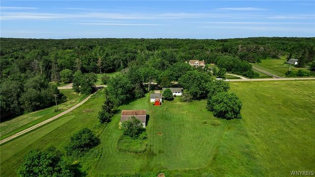 8009 Lewis Road, Colden, NY 14080